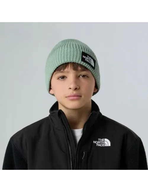 THE NORTH FACE |KIDS TNF LOGO BOX CUFFED BEANIE |NF0A8CGUBQ1